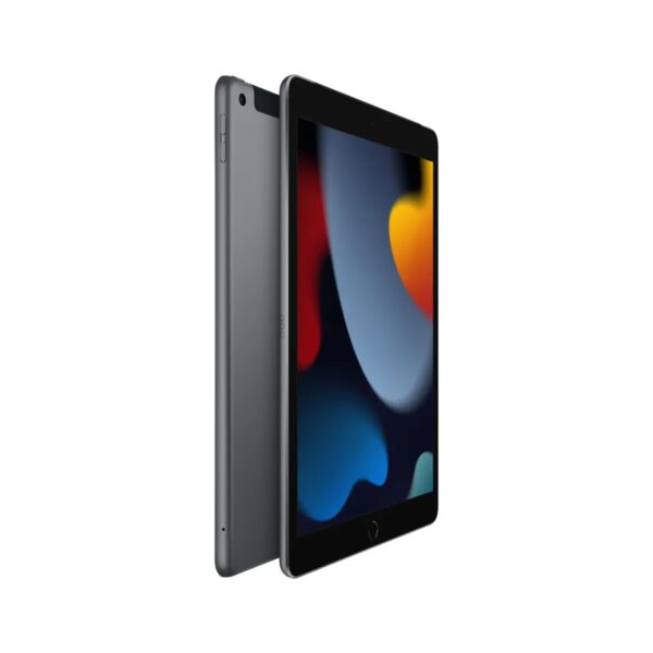 Apple iPad 10.2-inch (9th gen) 256GB Wi-Fi - Space Grey